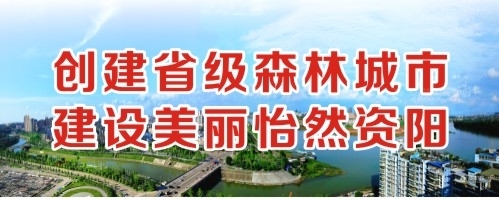 逼里逼里免费正版创建省级森林城市 建设美丽怡然资阳